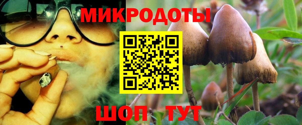 Южноуральск  закладка  Вход с VPN  Галлюциногенные грибы мицелий 